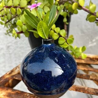 Lakshika Pant's photo